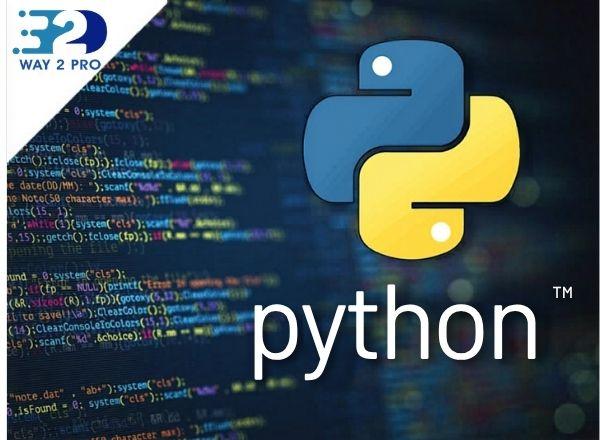 Python 